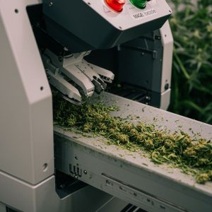 Manual vs Machine Trimming Cannabis: Which Is Better?