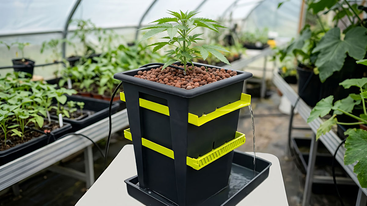 Using RE-PLANT in Recirculating Drip Hydroponic Systems