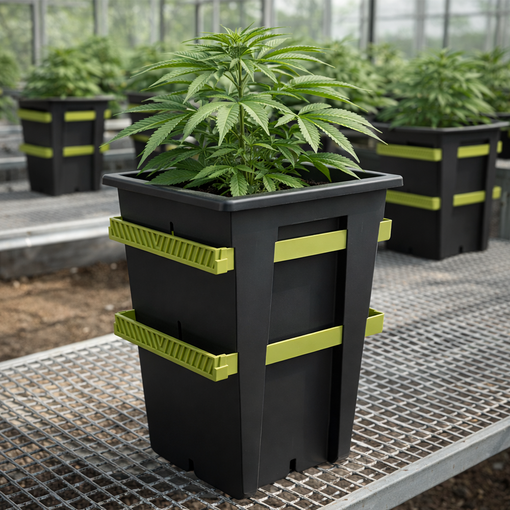 Re-Plant One Pot Three Levels