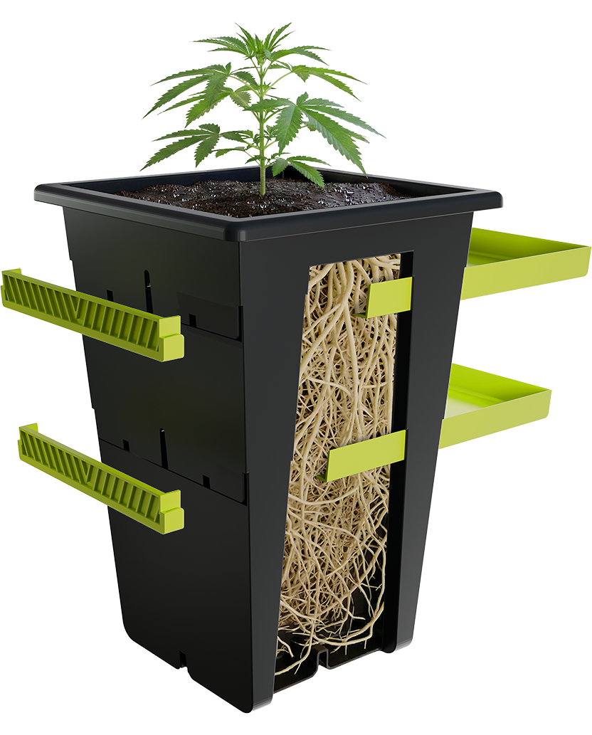 Re-Plant plant pot with visible root system and staged growth design