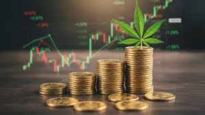 The Hidden Costs of Inefficiency in Cannabis Production