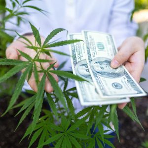 Where Cannabis Operations Lose Money: Hidden Inefficiencies